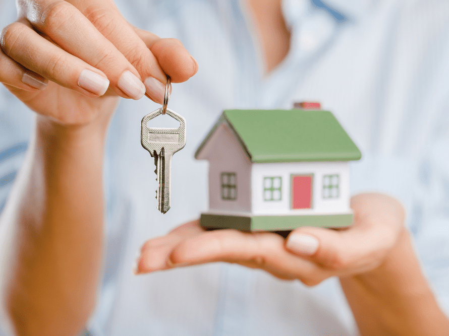 Litigii imobiliare și revendicări, context juridic